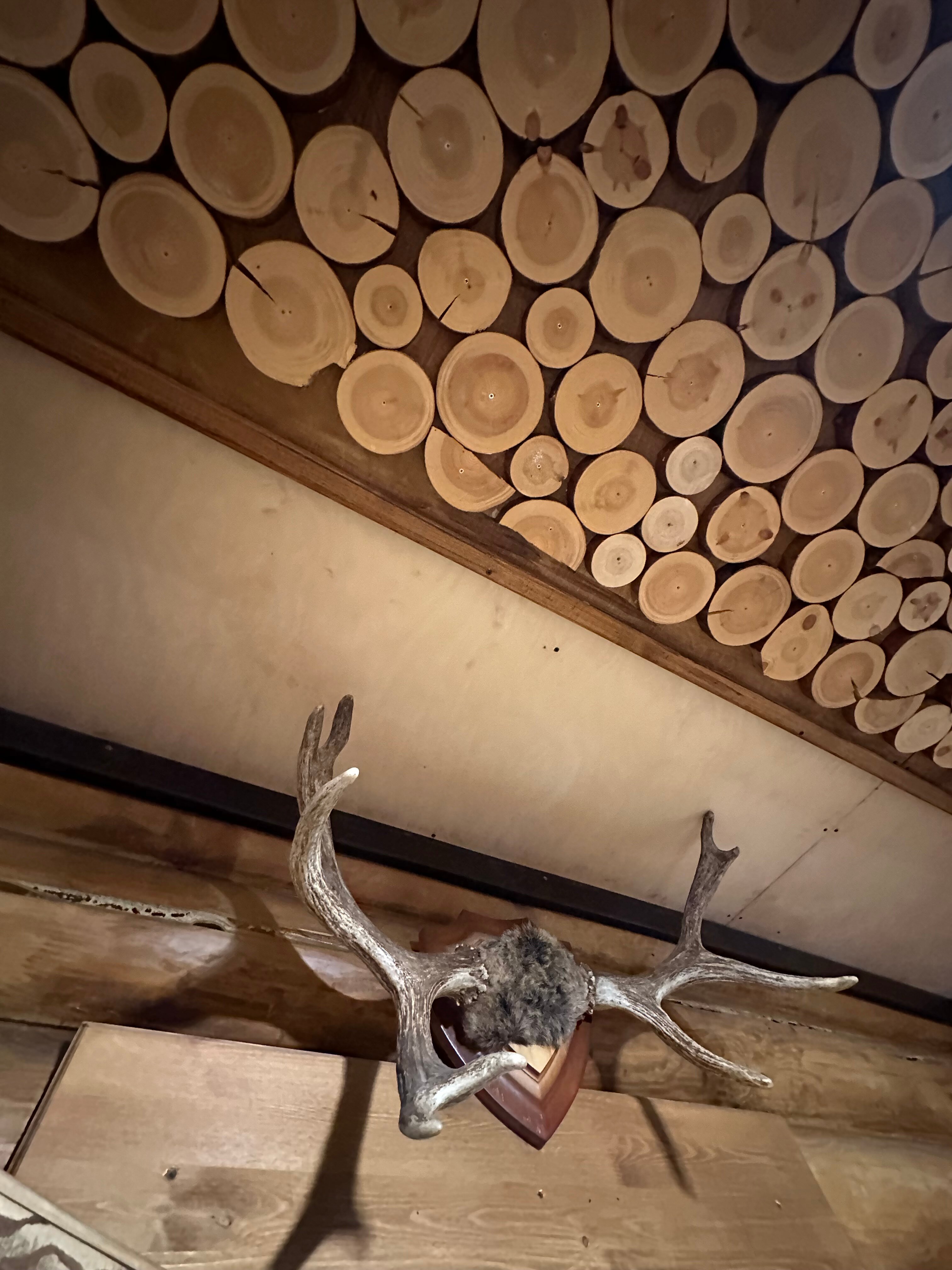 Фото Солнечная Заимка