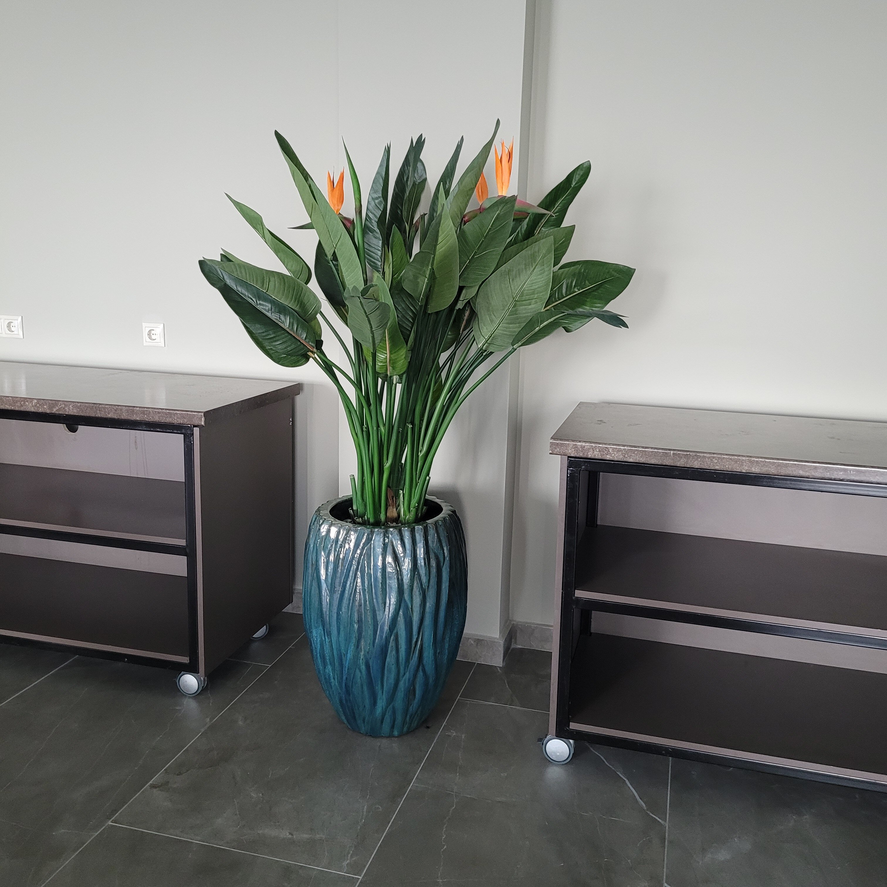 Фото Лоо-арена