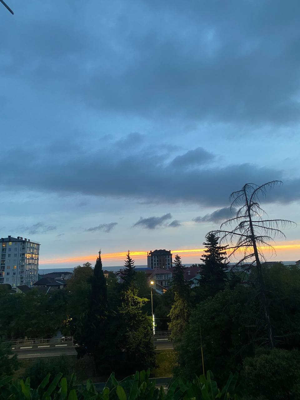 Фото Марсель