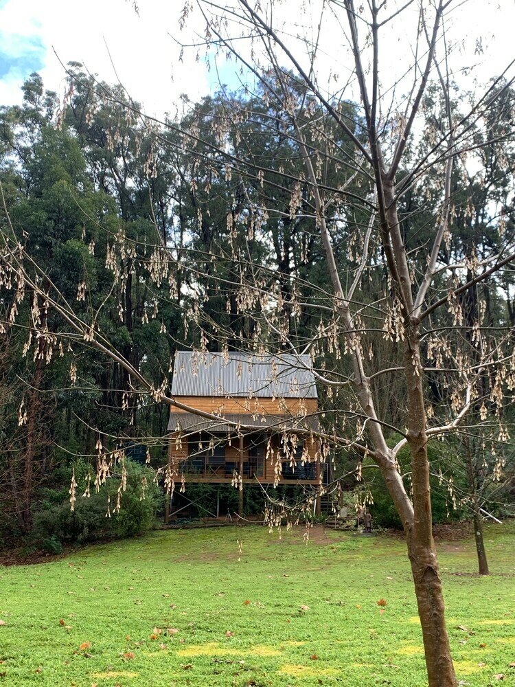 Фото Noble River Estate