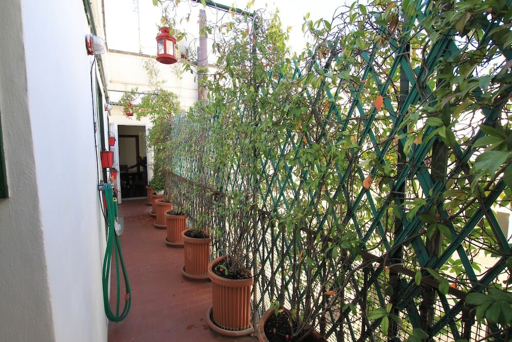 Фото Mellini River