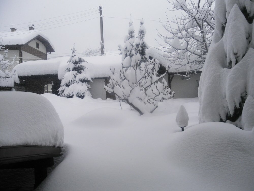 Фото Boutique Guest House Ikonomov