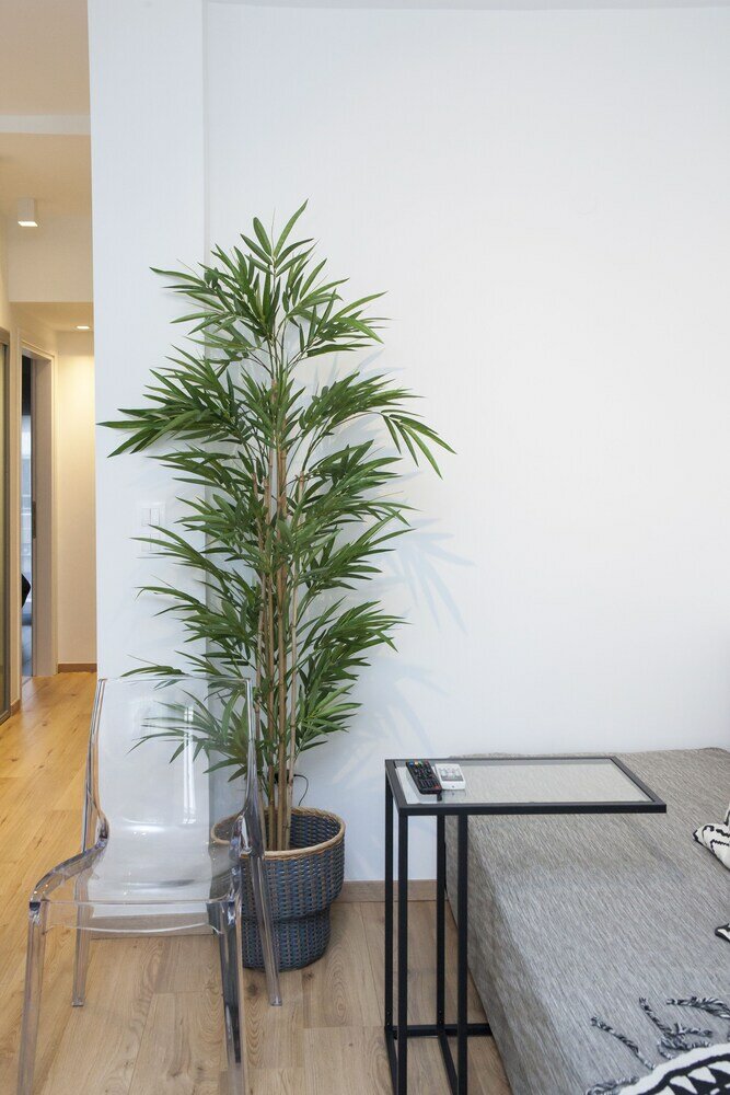 Фото Alterra Vita City Apartment