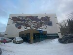 Sportivnoye plavaniye (Komvuzovskaya Street, 9), sports store