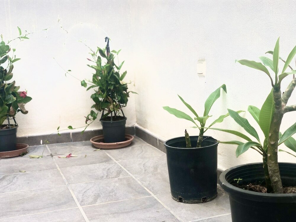 Фото Varela Apartamentos B