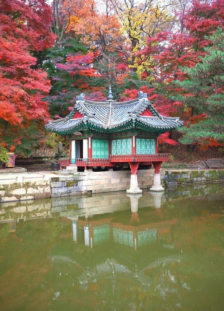 Фото King's garden