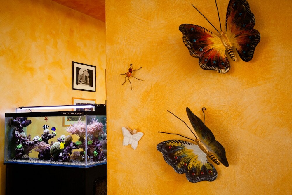 Фото Hotel Stella D'Oro