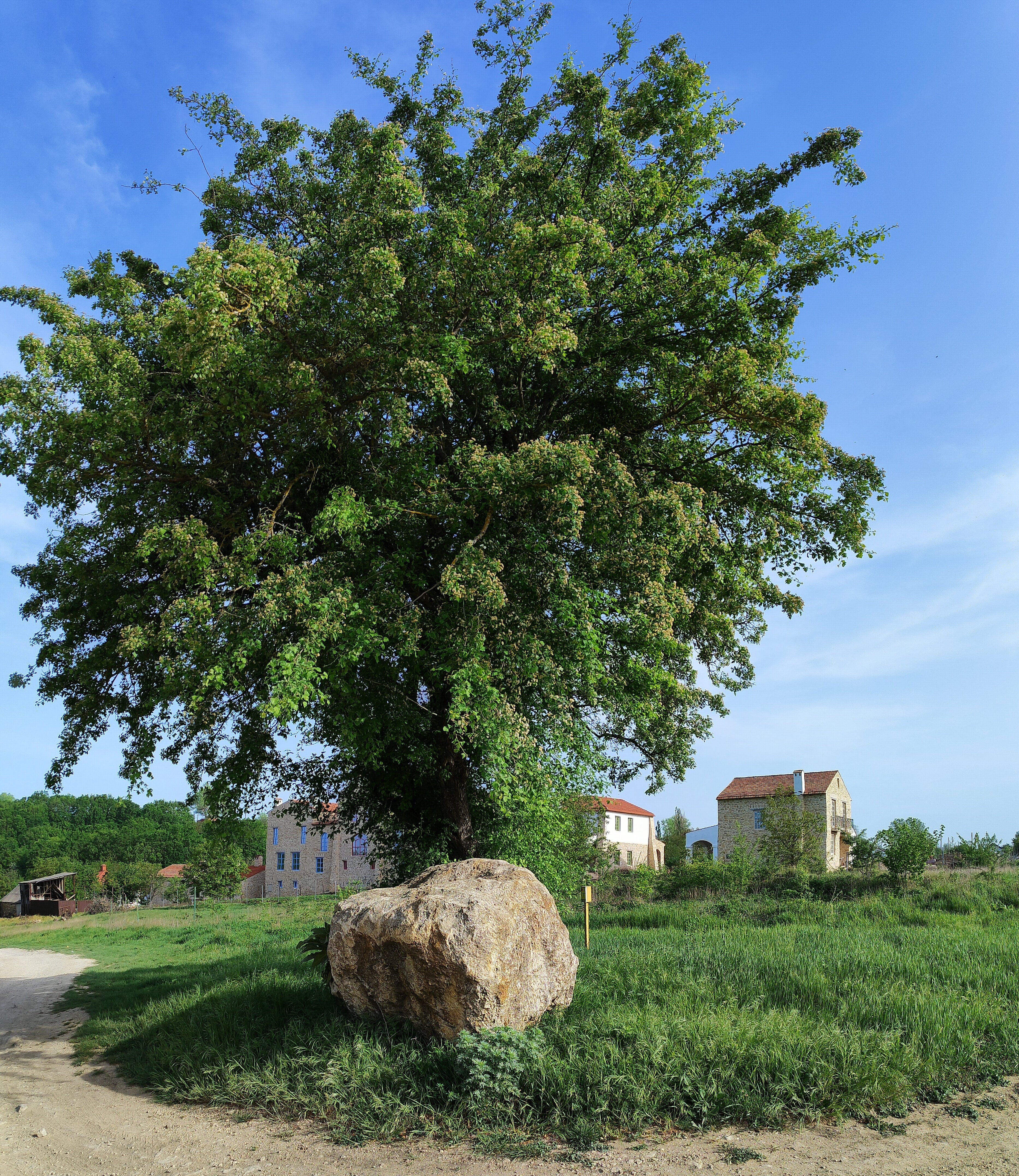 Фото Шато Андре