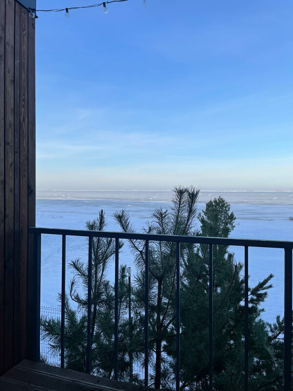 Фото Ёlki Лебяжье