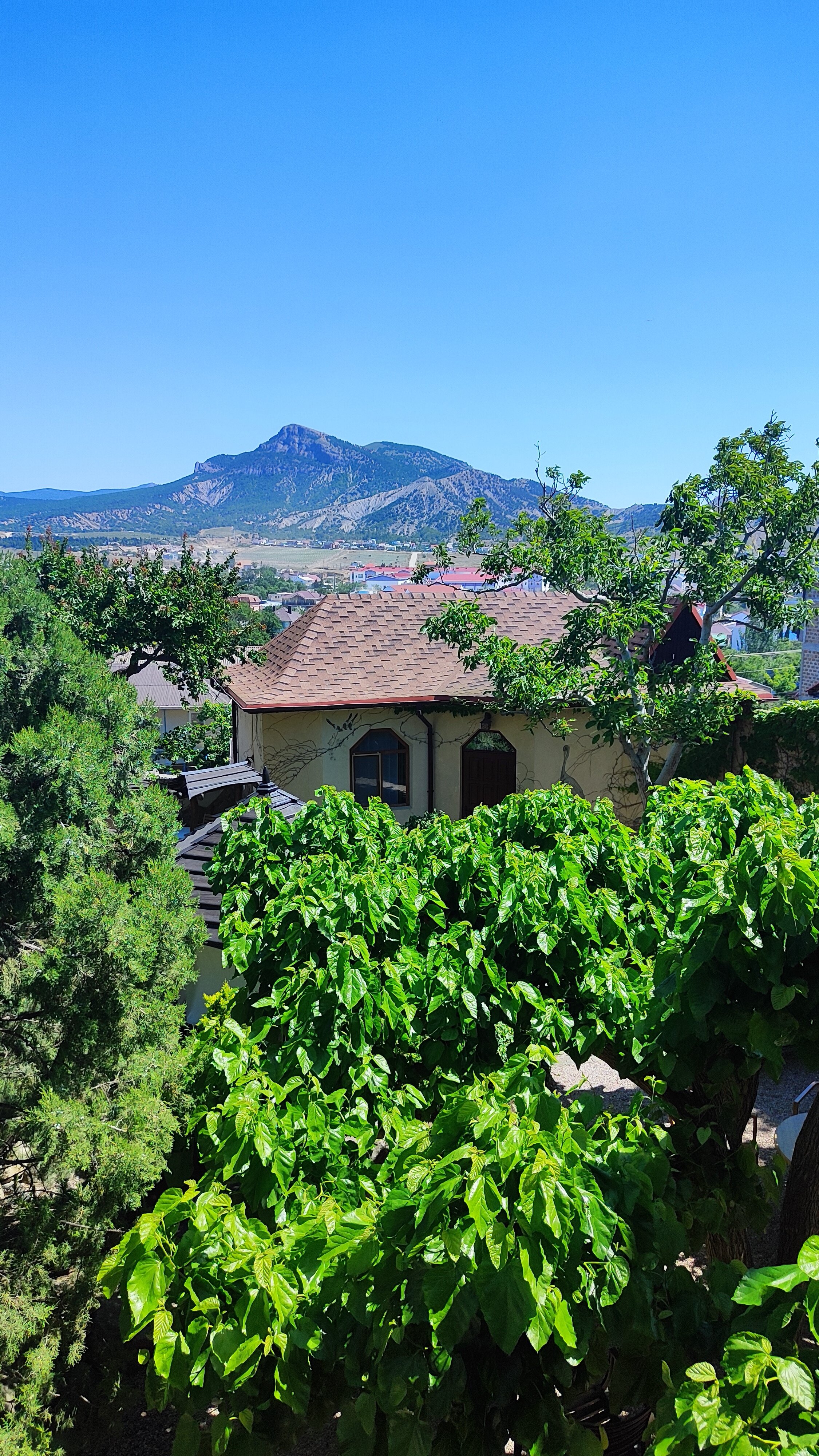 Фото Солнечный замок