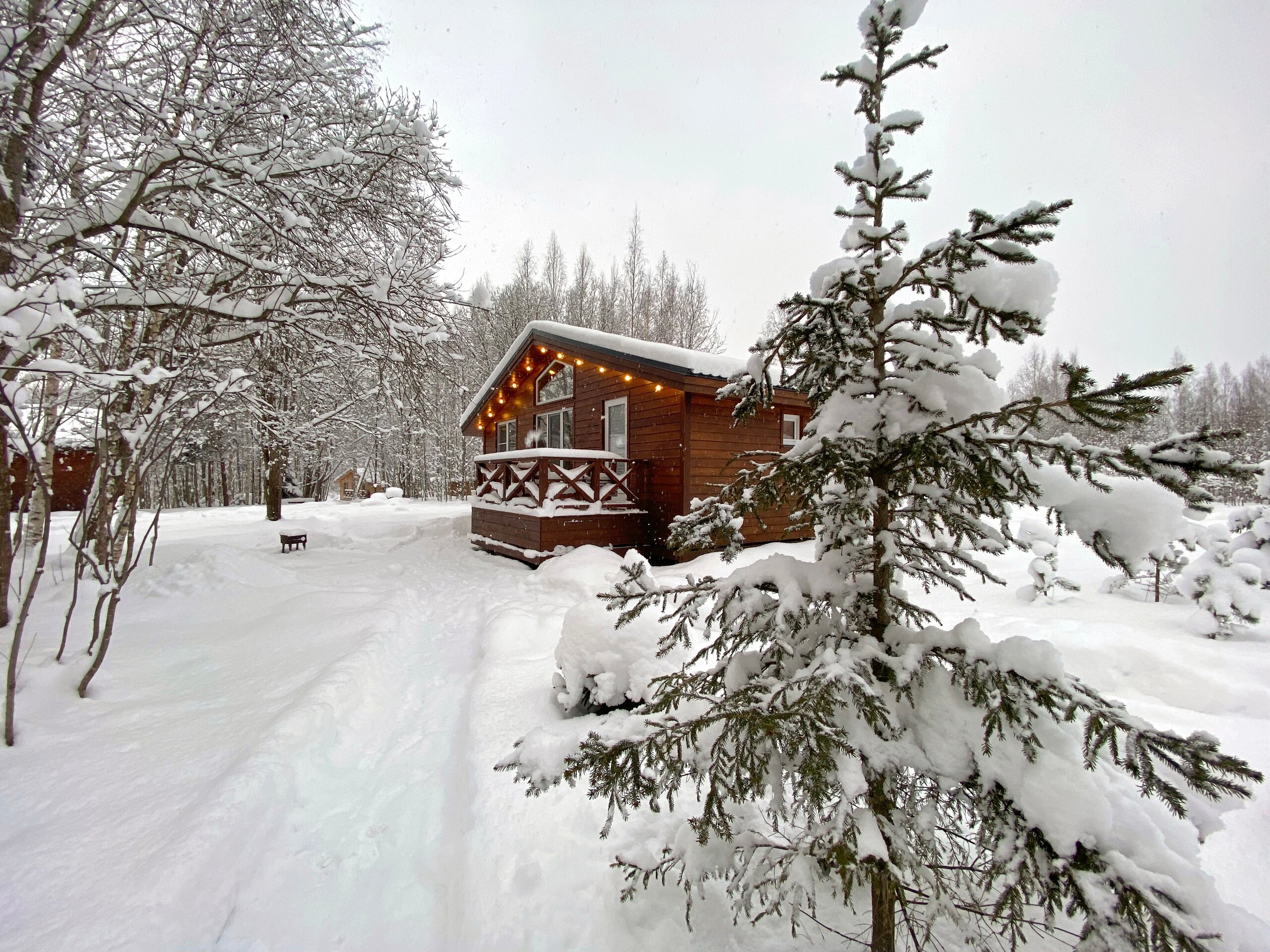 Фото Ладога Хоум