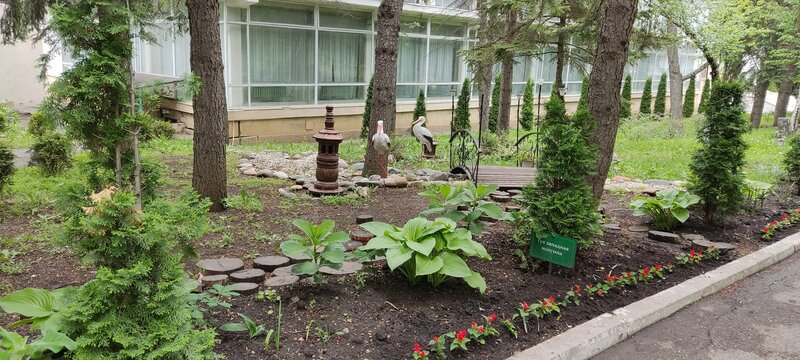 Лесная поляна — фото 40