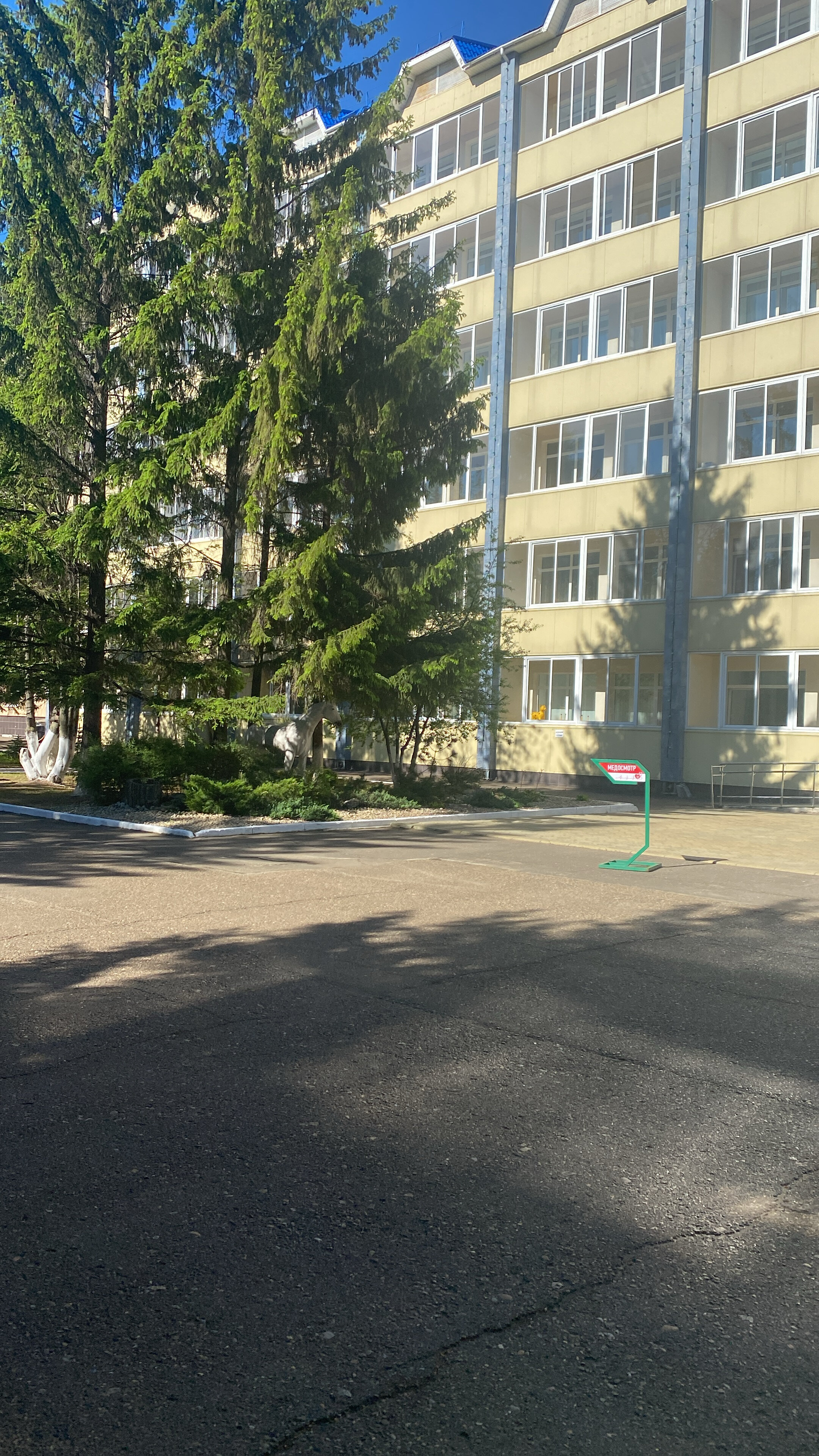 Фото Шифалы