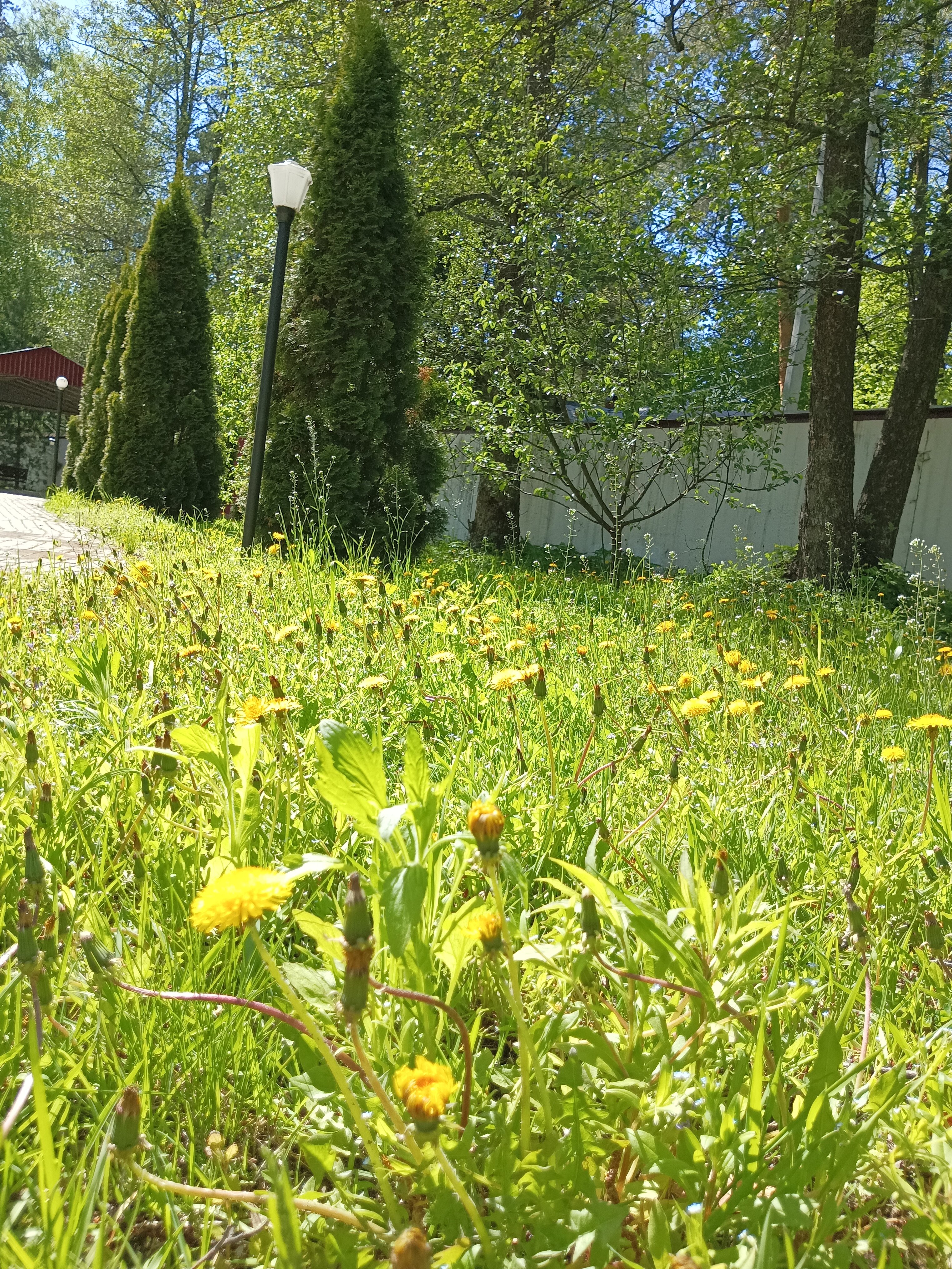 Фото Золотая осень