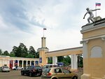 Hostel-chita (1-y mikrorayon, 9А), hostel