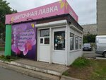 Vam Buket (Ordzhonikidze Street, 28Б), flower shop