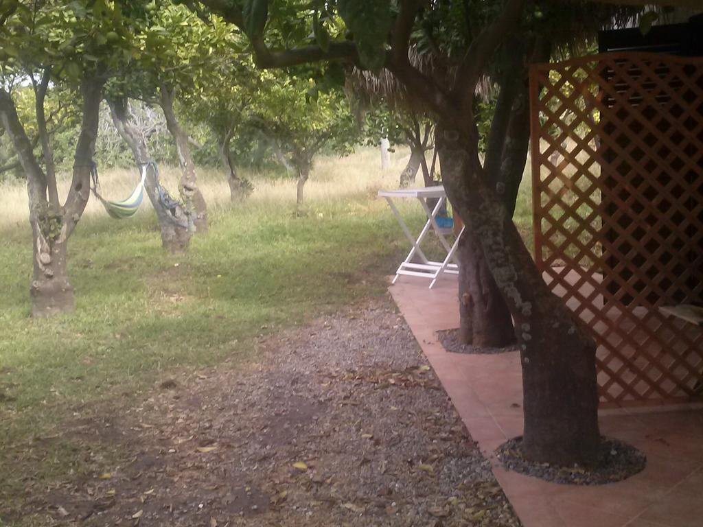 Фото Feudo di Plutino