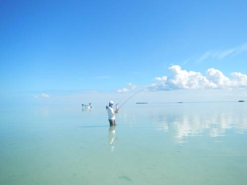 Фото Casa Pascale