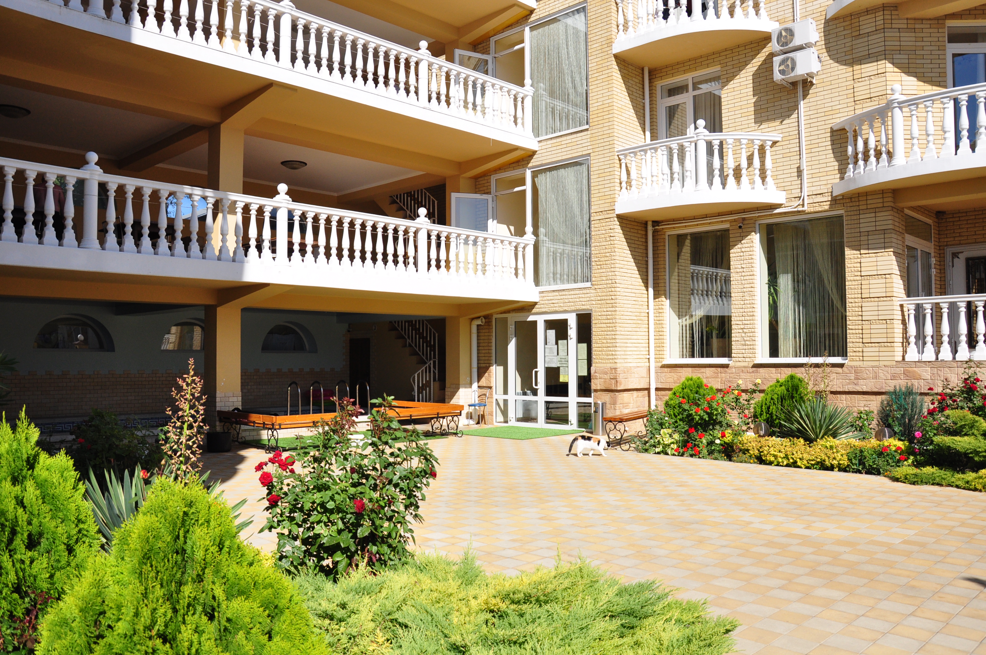 Фото Астория