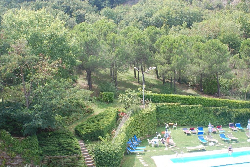 Фото Hotel Bosco