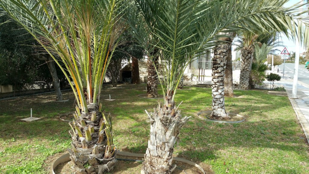 Фото King's Holiday Apartments