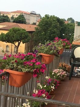 Фото B&b Sterlizia