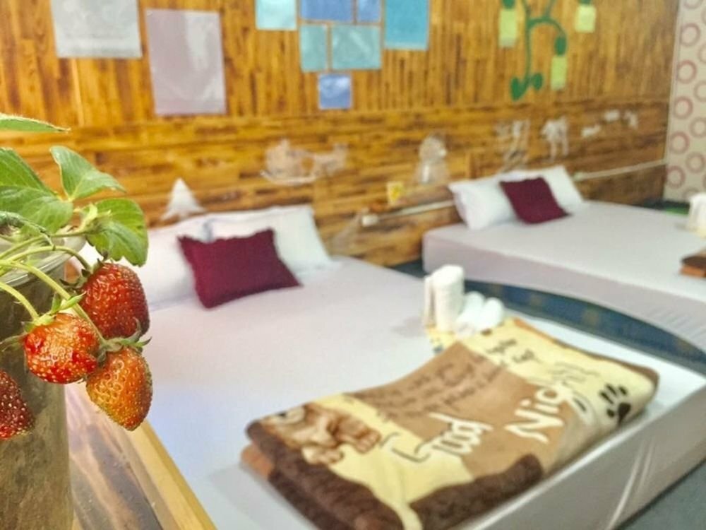 Hotel Homestay Nha Toi 3, Dalat, photo