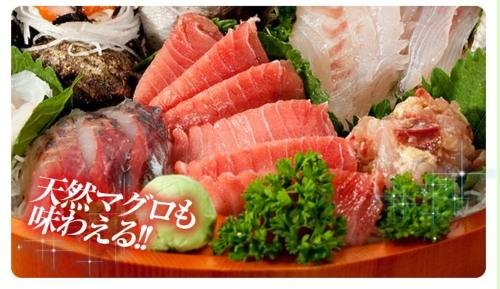 Фото Shikishimasou