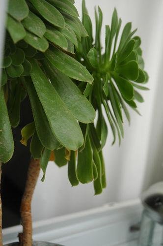 Фото Lucas Rooms