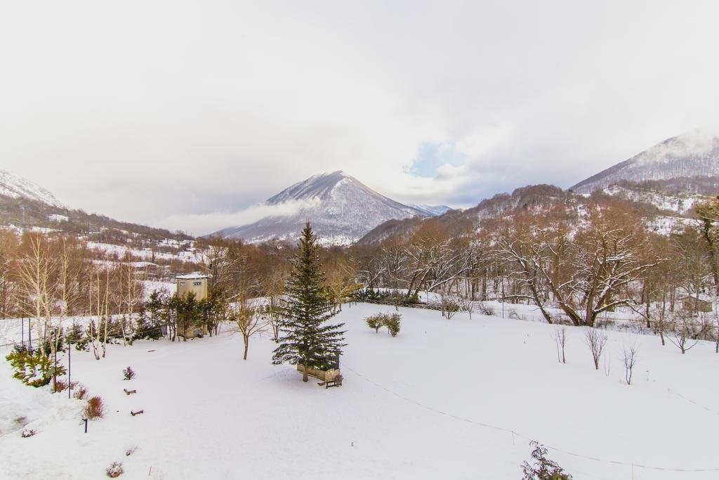 Фото Club Hotel Du Park