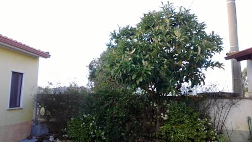 Фото Case Vacanza Sa Mitza