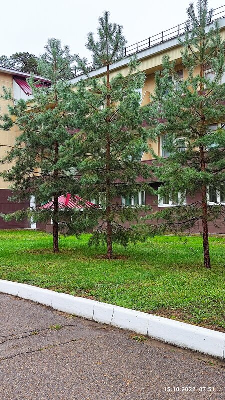Космос — фото 16