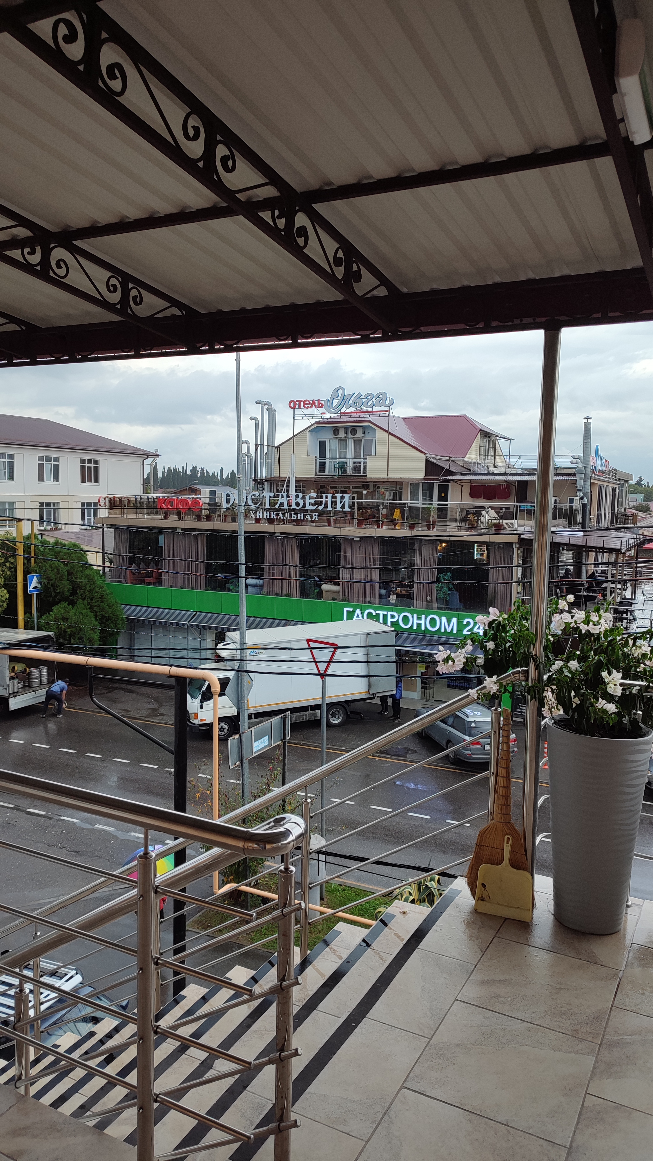 Фото Дельфин