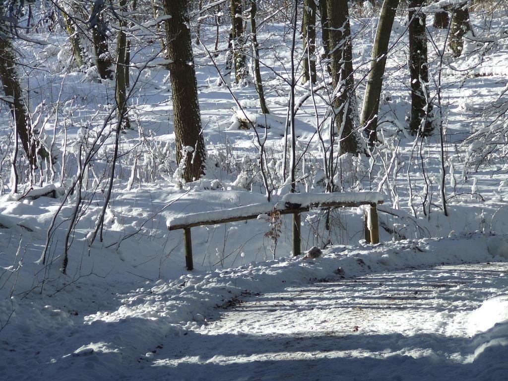 Фото Hotel Kilian