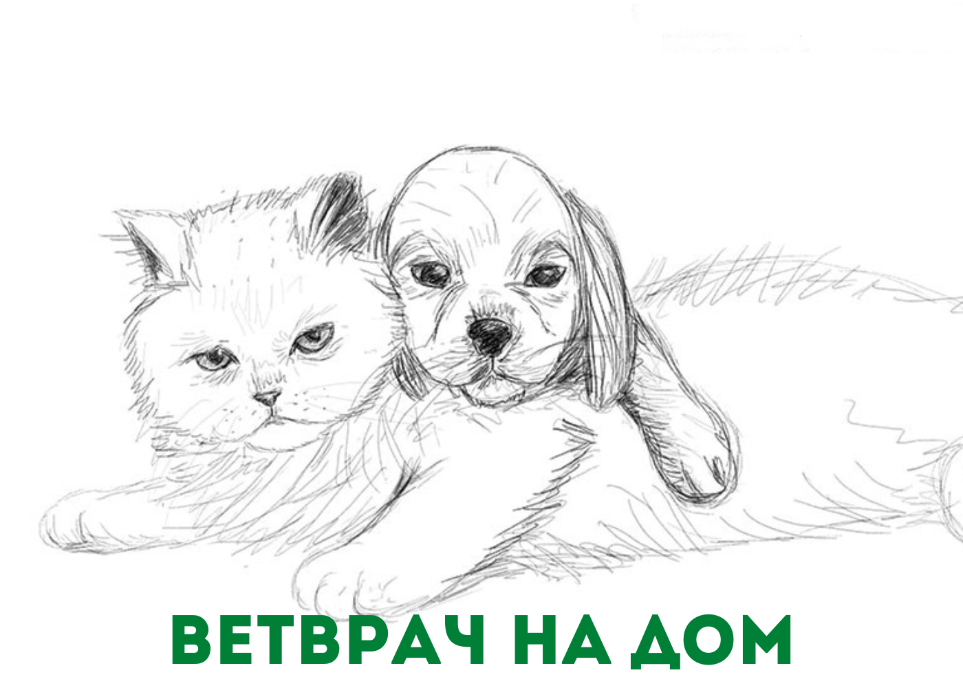 Азбука Животных - фото 8