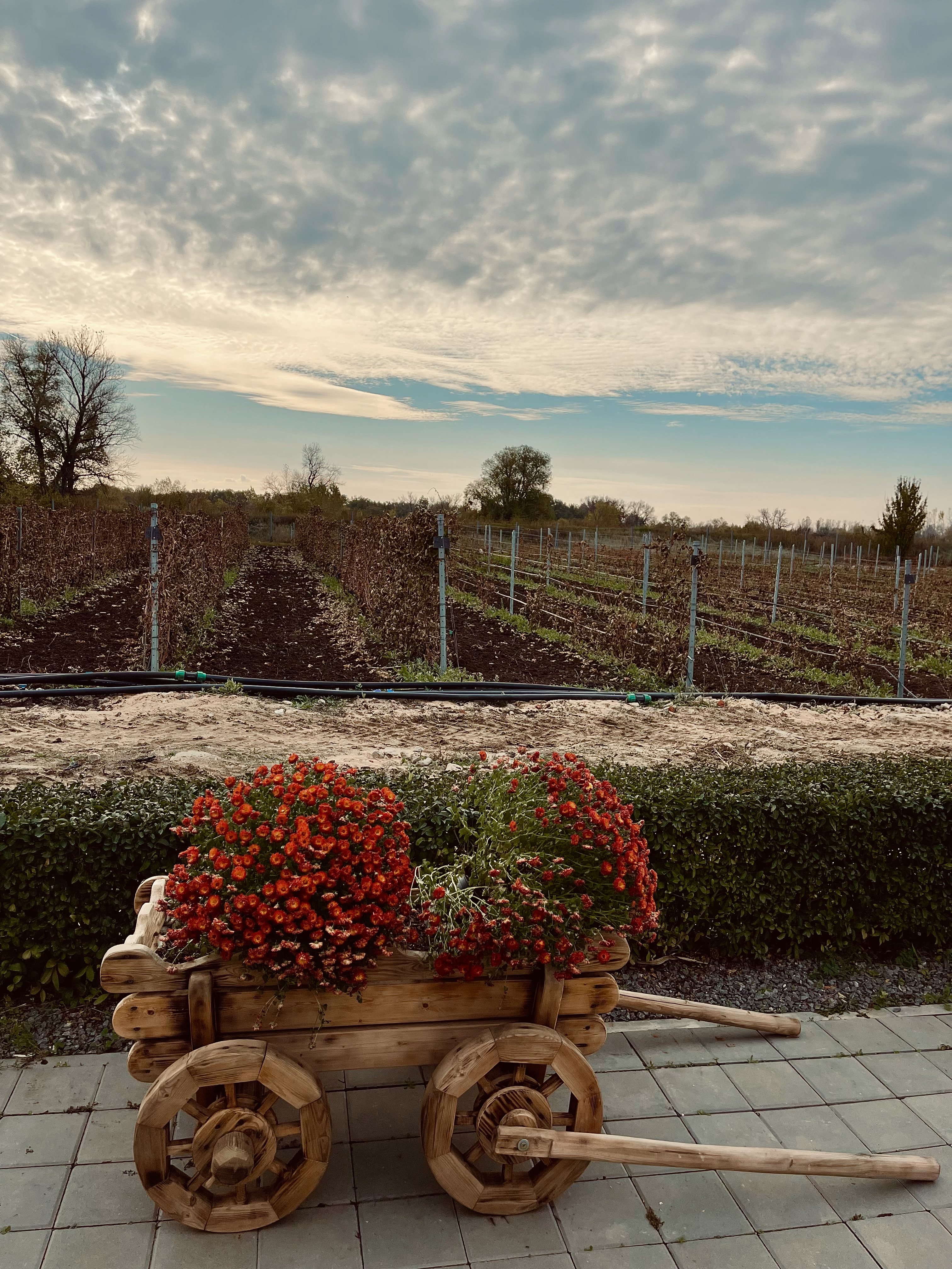 Фото Вилла София