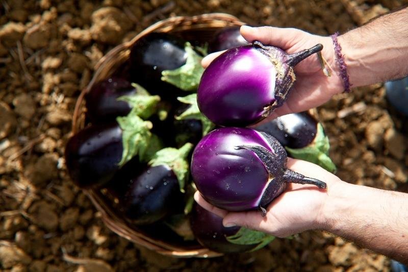 Фото Al Lago Verde