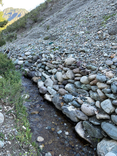 Оттегінің сперматозоидтарға әсері