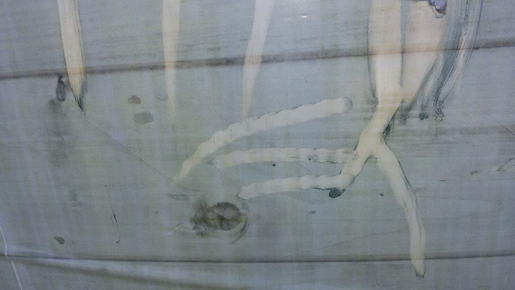 Фото Apartamentos Mestret