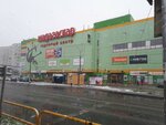Max Market (Lva Yashina Street, 14), electronics store
