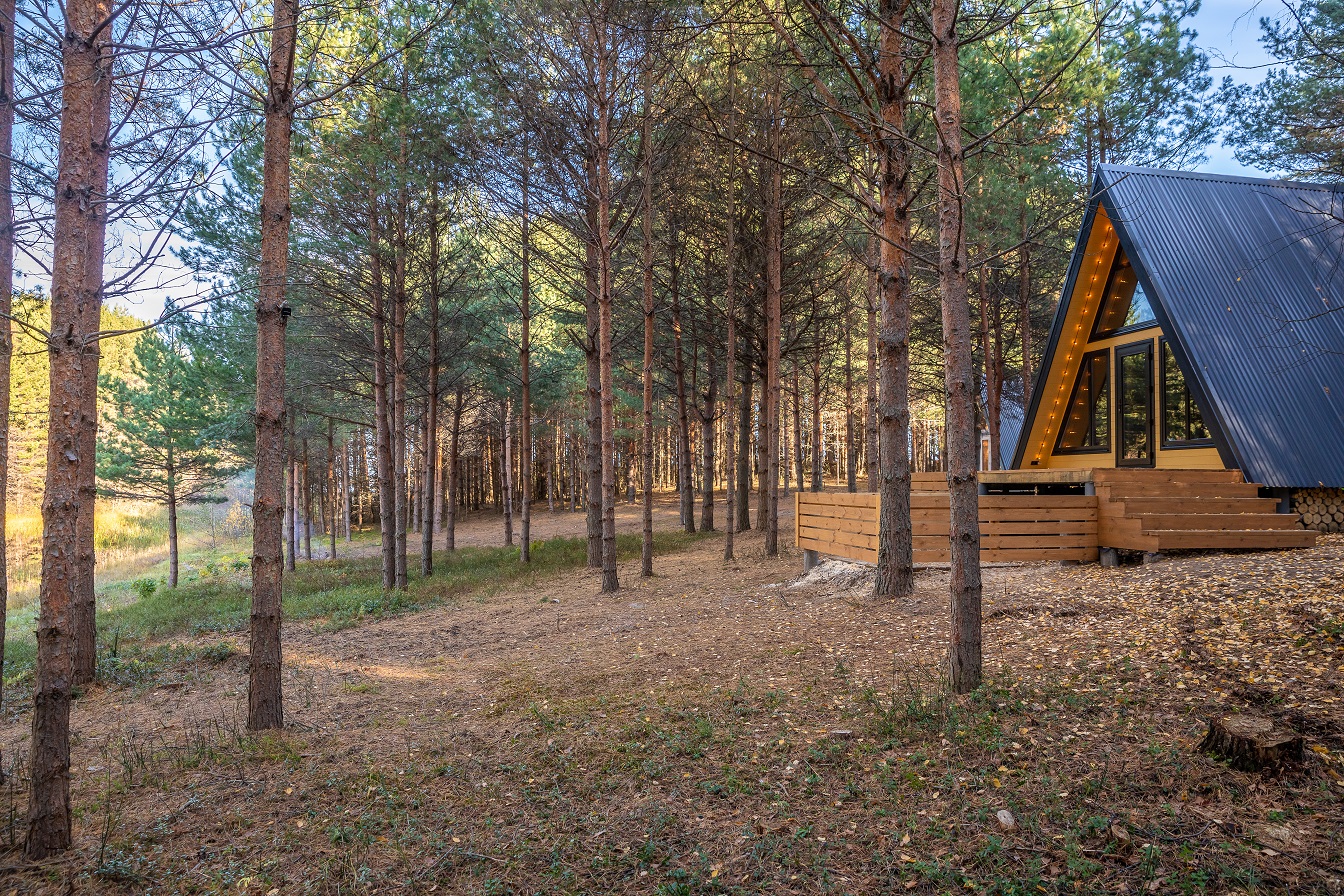 Фото КэмпФалькон