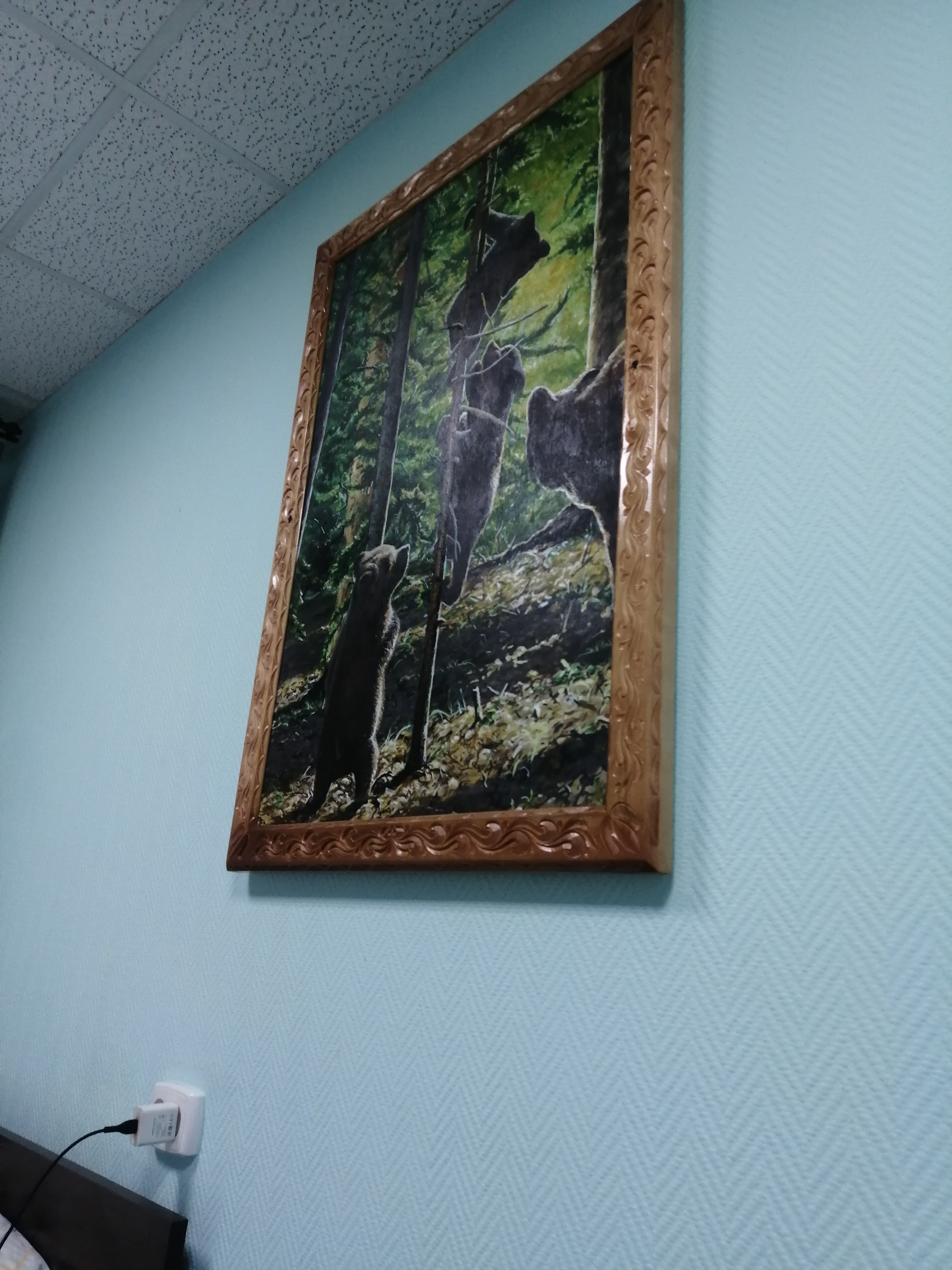 Фото Турист