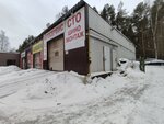 Шишка (Krasnoborskaya Street, 6), tire service