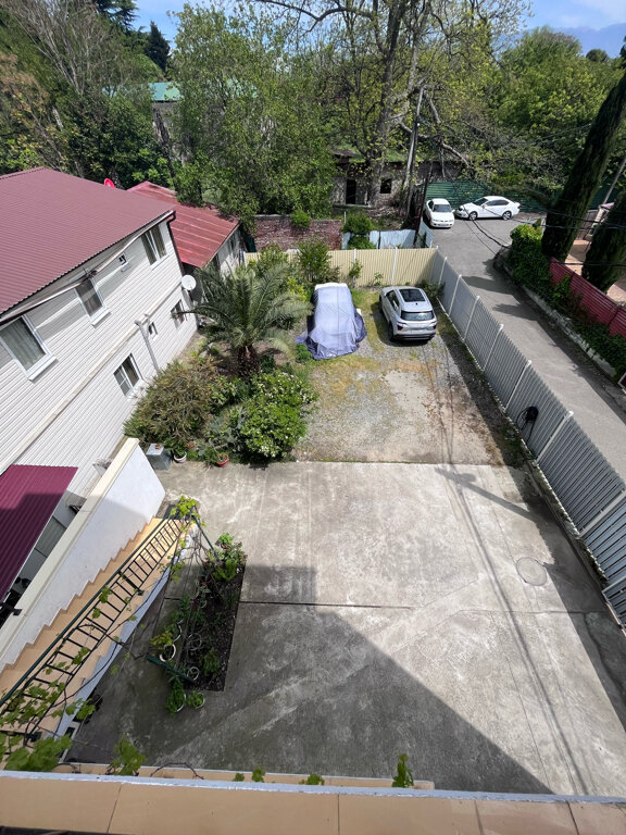 Фото Гиацинт