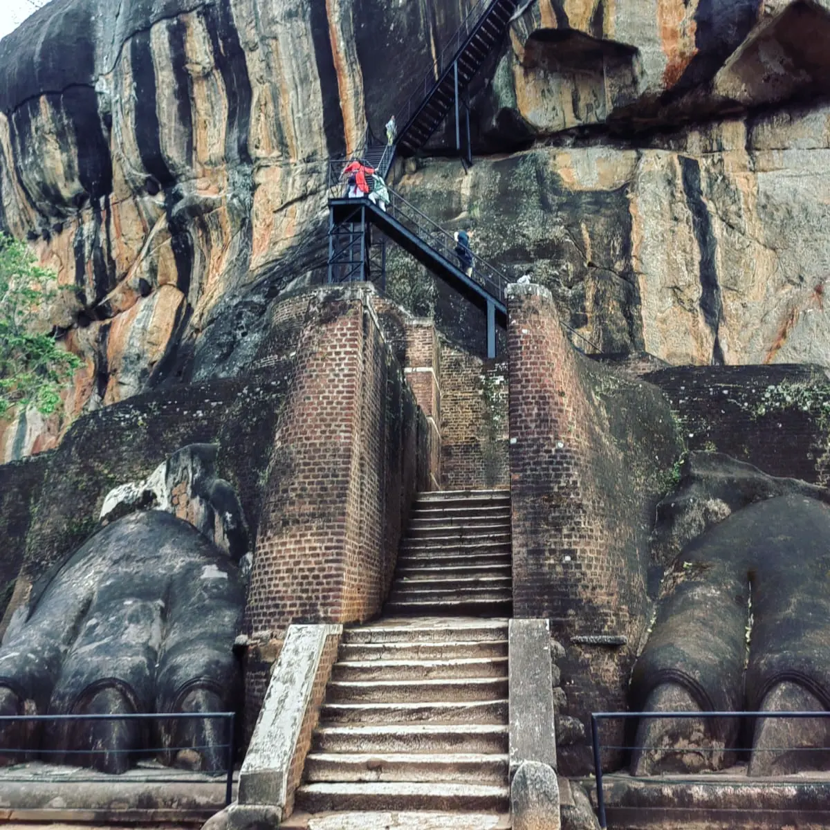 Фото Pandanus Beach Resort & SPA