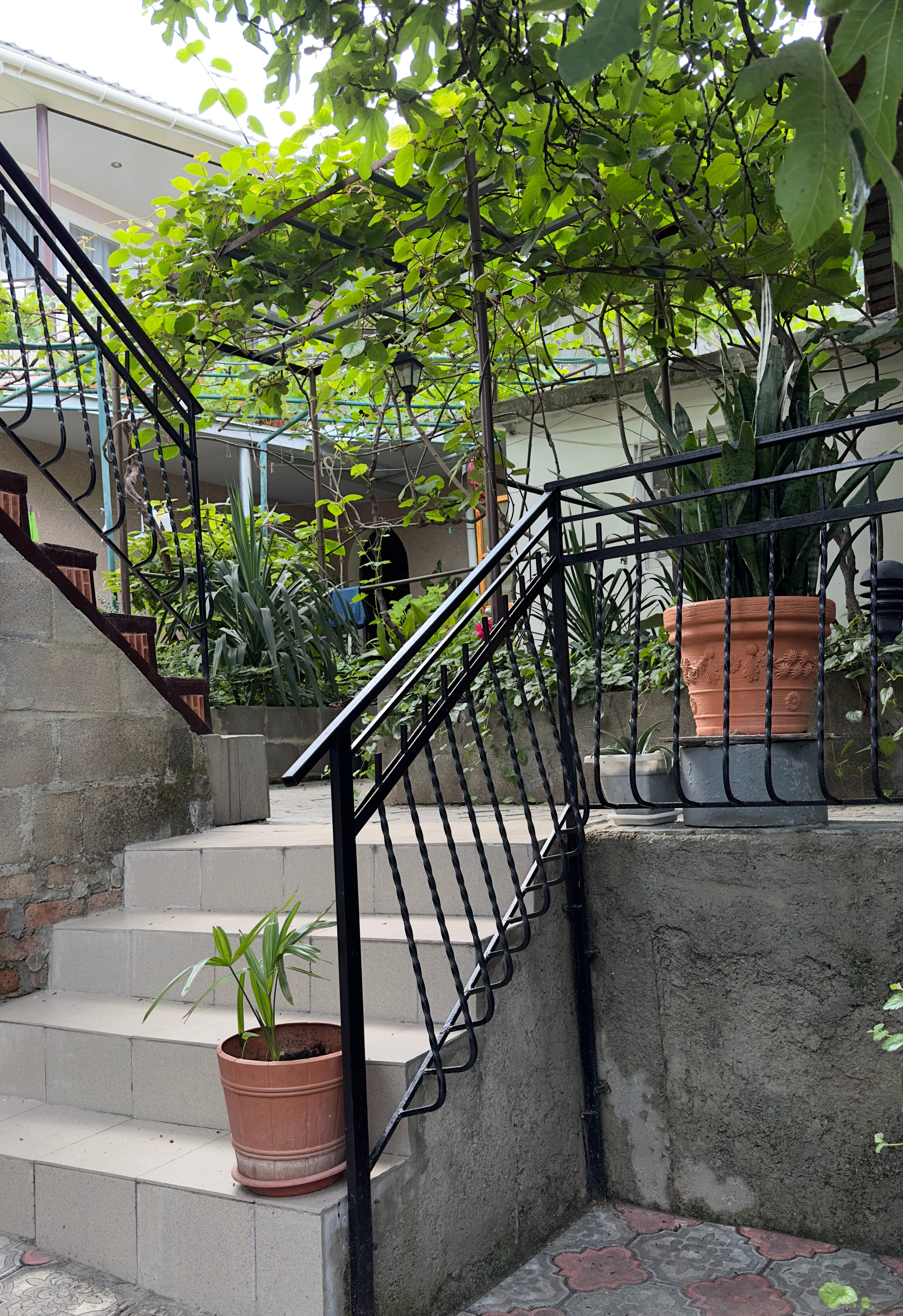 Фото У Барса