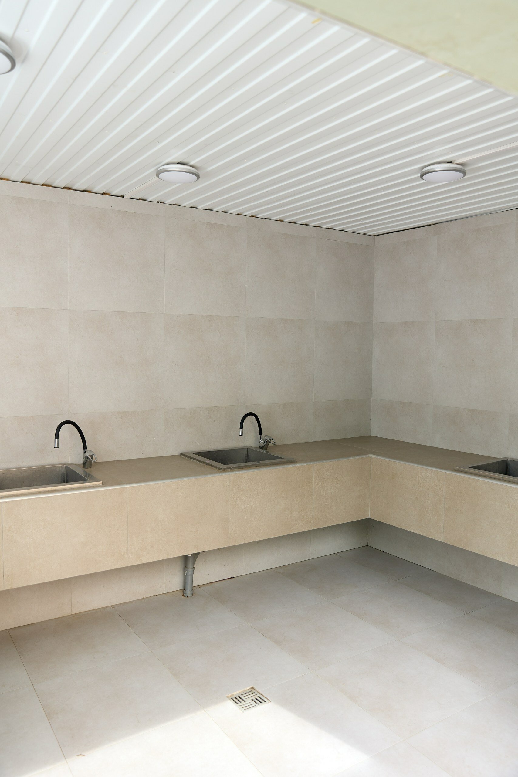 Фото Iva тенистая