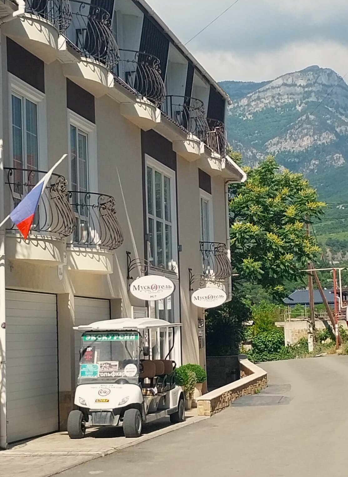 Фото Мускатель