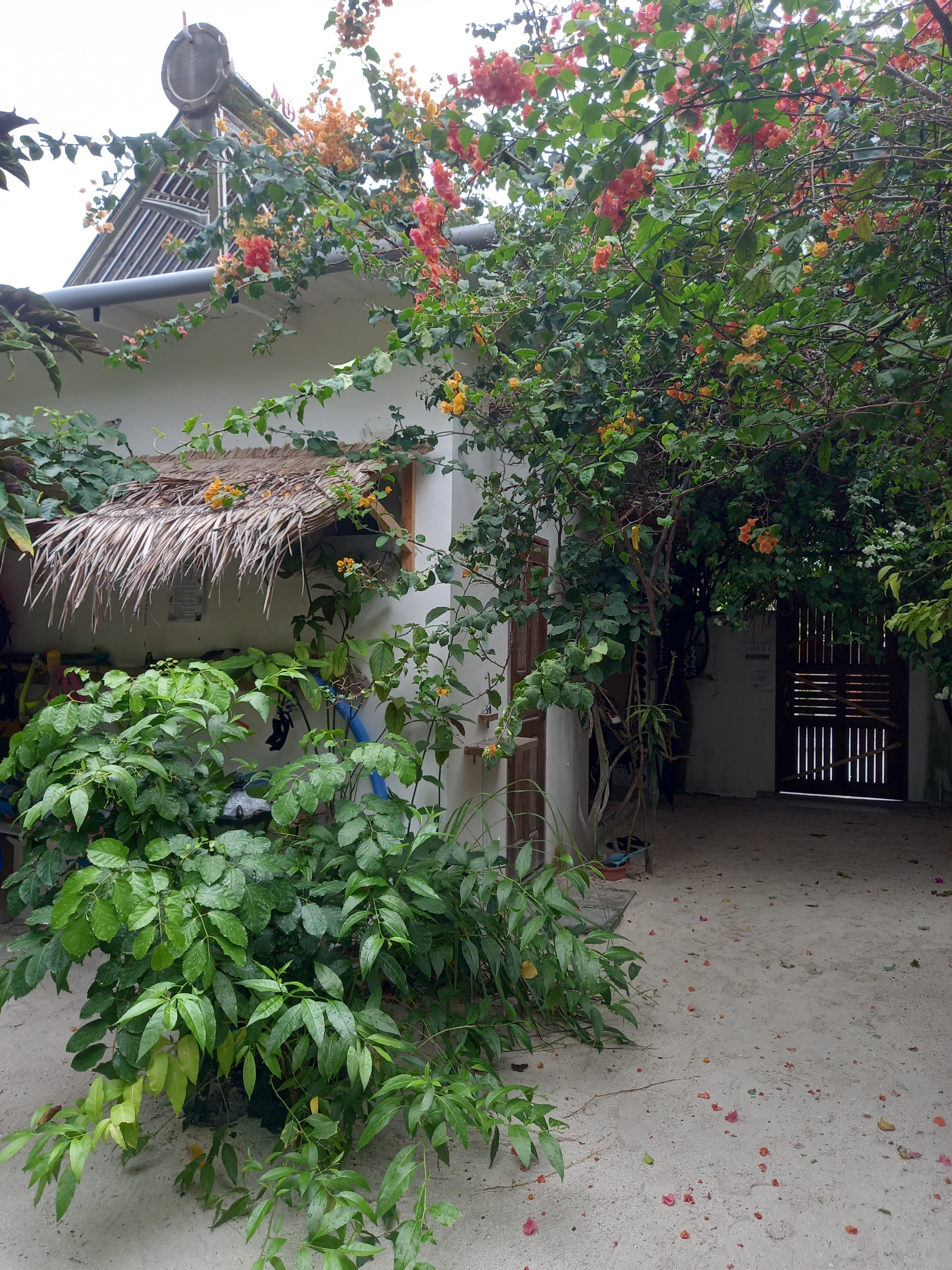 Фото Lagoon Villa Thoddoo