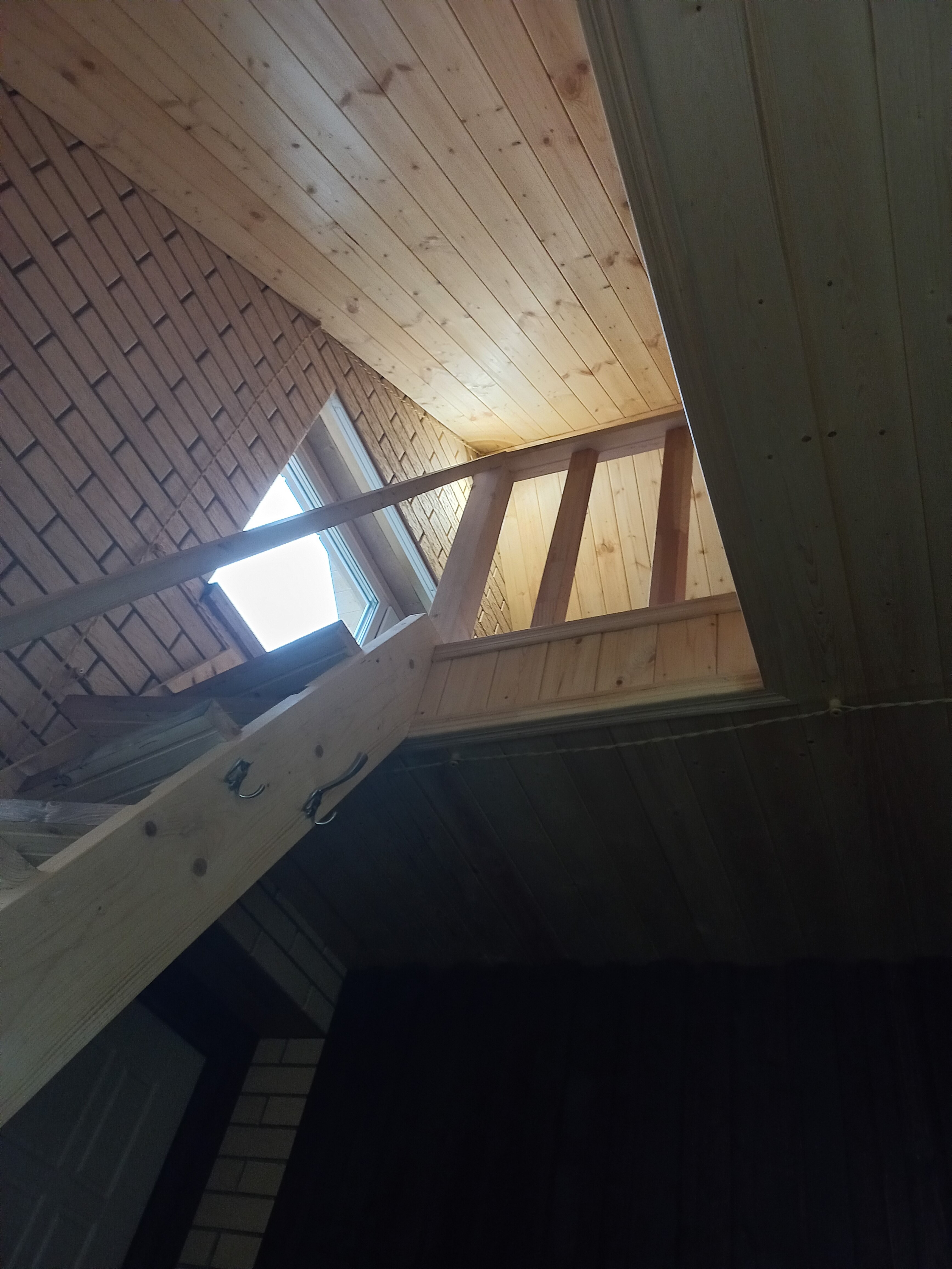 Фото Светлая роща